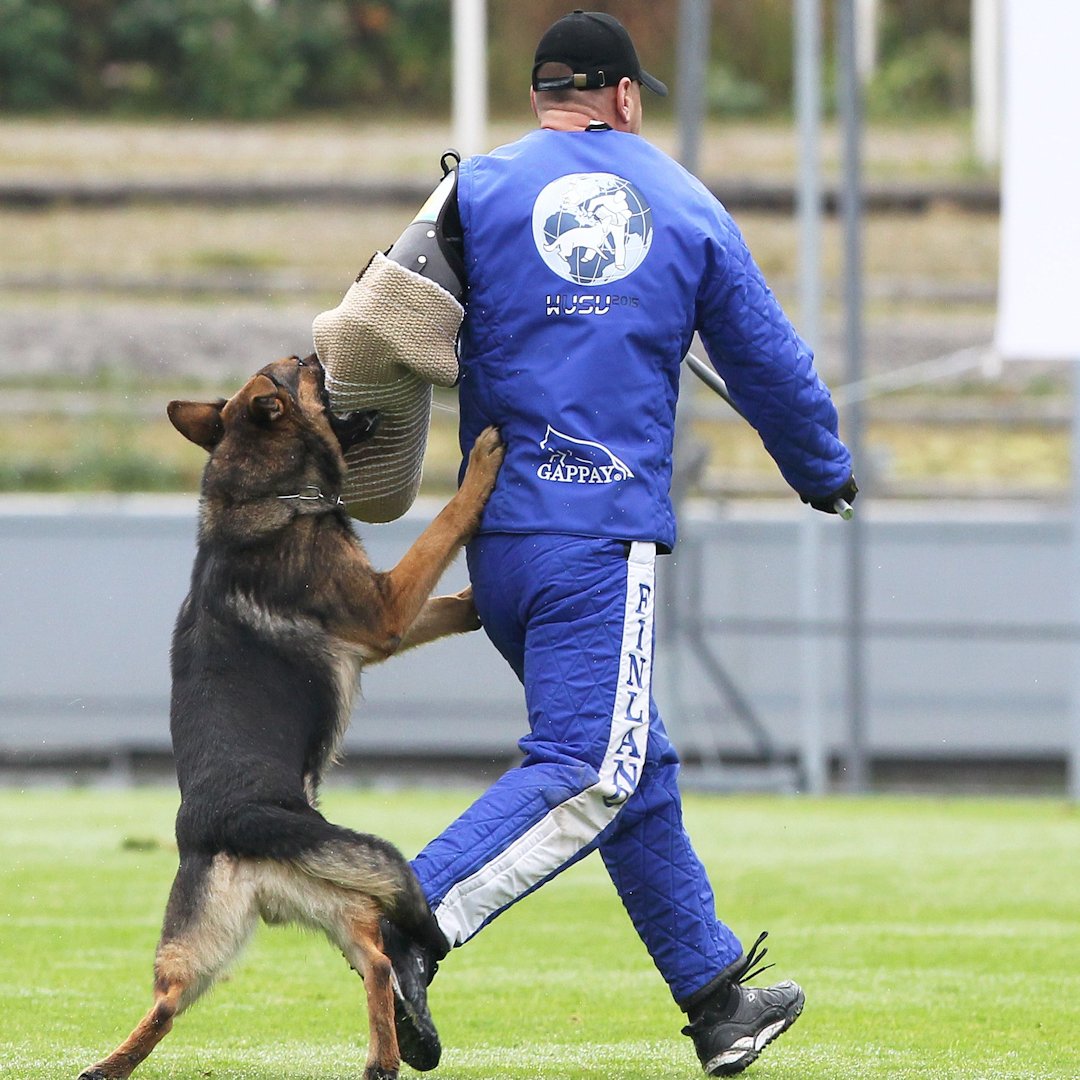 WUSV2015ArovomKisser21526.jpg